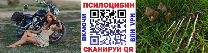 Псилоцибиновые грибы Psilocybine cubensis  где продают наркотики  Бахчисарай 